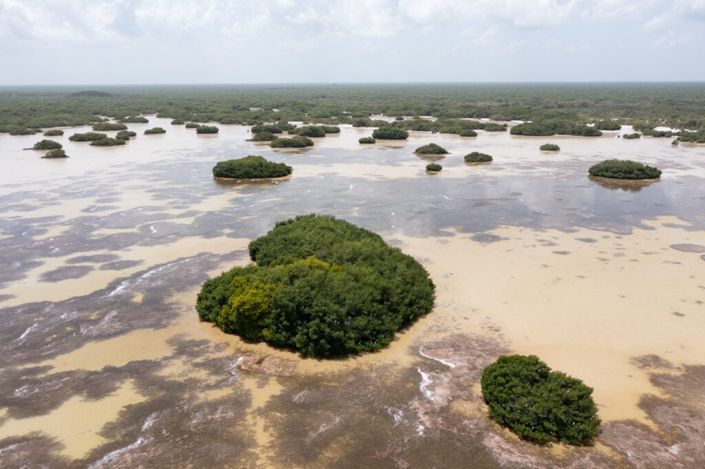 Resolving scientific uncertainties in nature-based climate solutions: Location, location, location