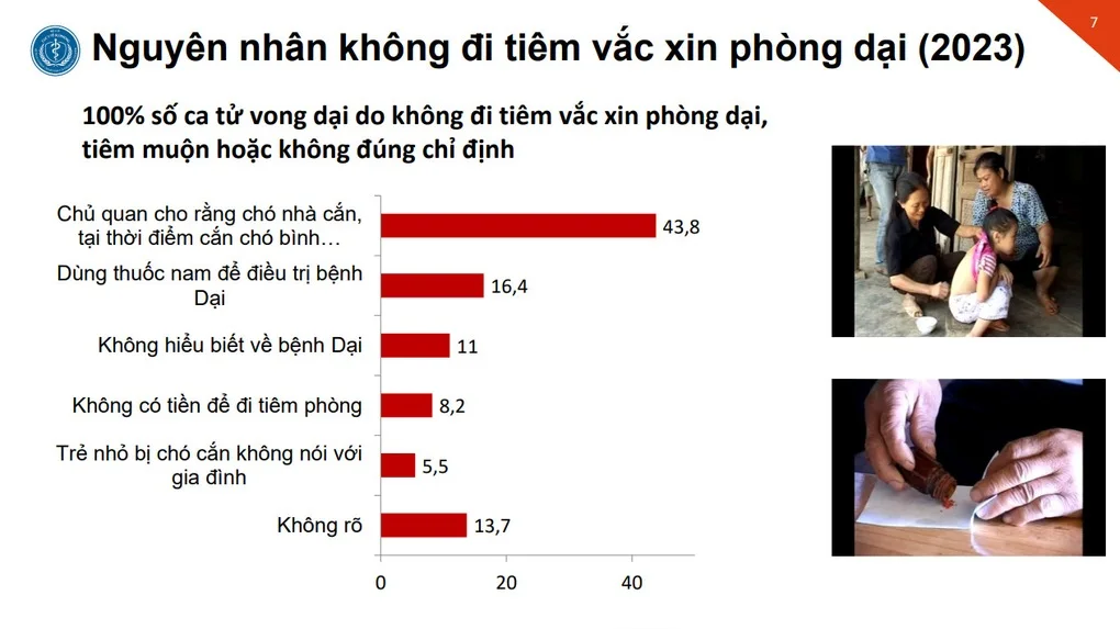 Bộ Y tế: Tiềm ẩn nguy cơ đại dịch từ cúm gia cầm - 4