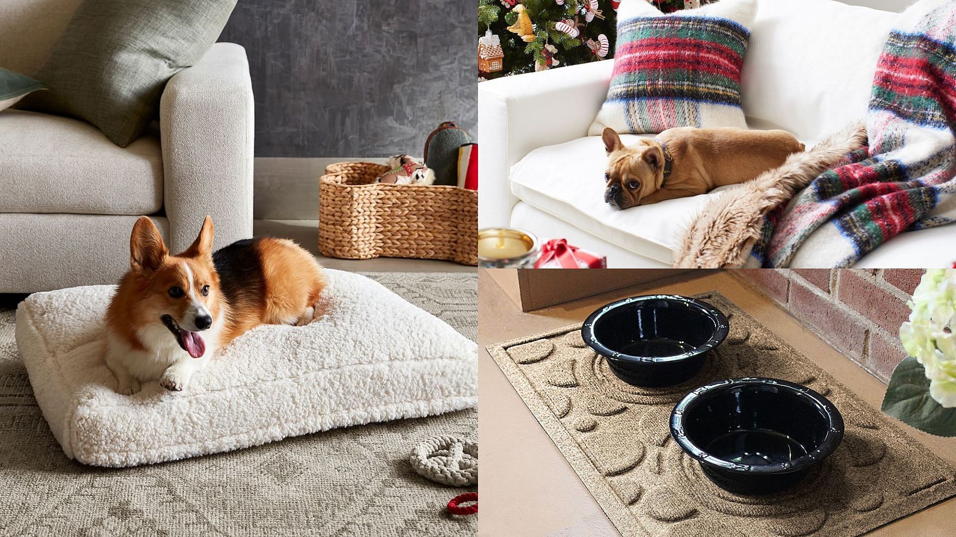 7 Best pet-friendly home decor ideas to try in 2024