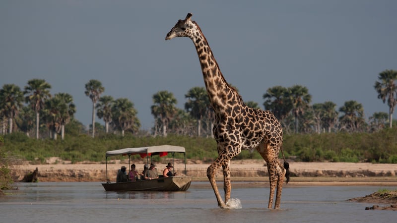 How do you choose an ethical wildlife holiday?