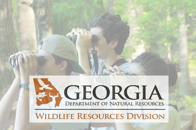 DNR: New Wildlife Viewing Projects Awarded Grants