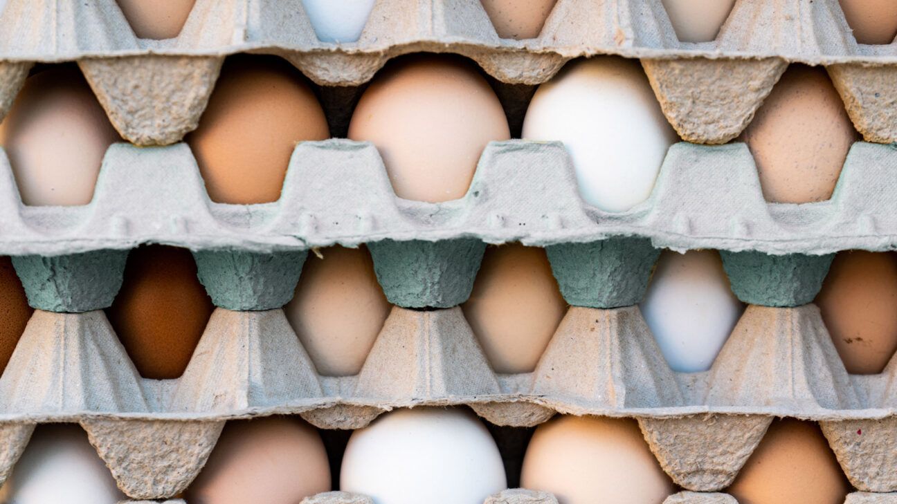 New Study Finds Eating Eggs May Not Increase Cholesterol Levels