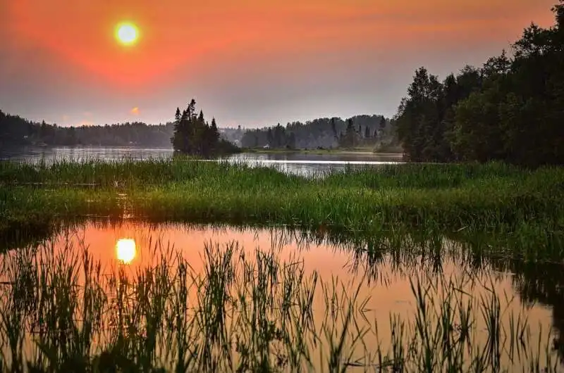 wetland