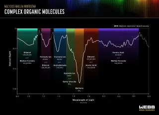 The spectrum light light coming from the protostar IRAS 2A revealing a wealth of complex, carbon-containing (organic) molecules