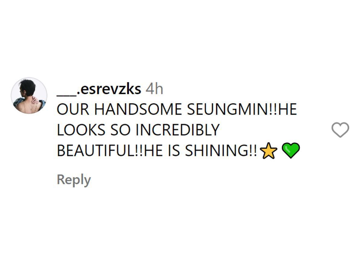 Stray Kids’ Seungmin’s look for the Loewe FW24 show at Paris Fashion Week stuns fans: “HE IS SHINING”