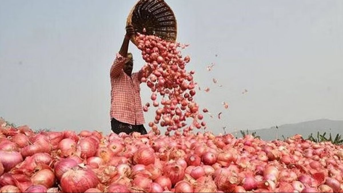 New Technology in Agriculture: प्याज की खेती में लागत कम मुनाफा होगा ज्यादा, MP के सीहोर जिले में किसान ने अपनाई नई तकनीक