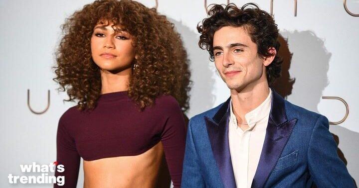 Timothée Chalamet and Zendaya Hope to Continue ‘Dune’ Franchise