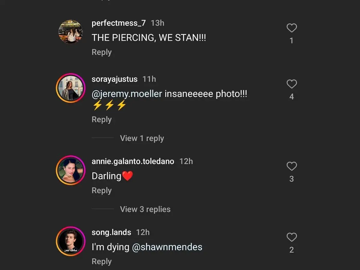 Mendes’ look for Loewe FW Paris Fashion Week show wins the internet (Image via Instagram/@shawnmendes)