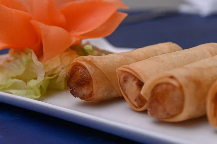 The chicken spring rolls