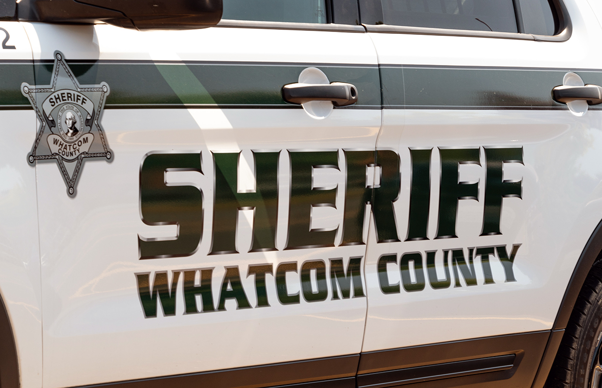 BRIEF: Ferndale man accused of hitting WCSO patrol car, attempting to escape