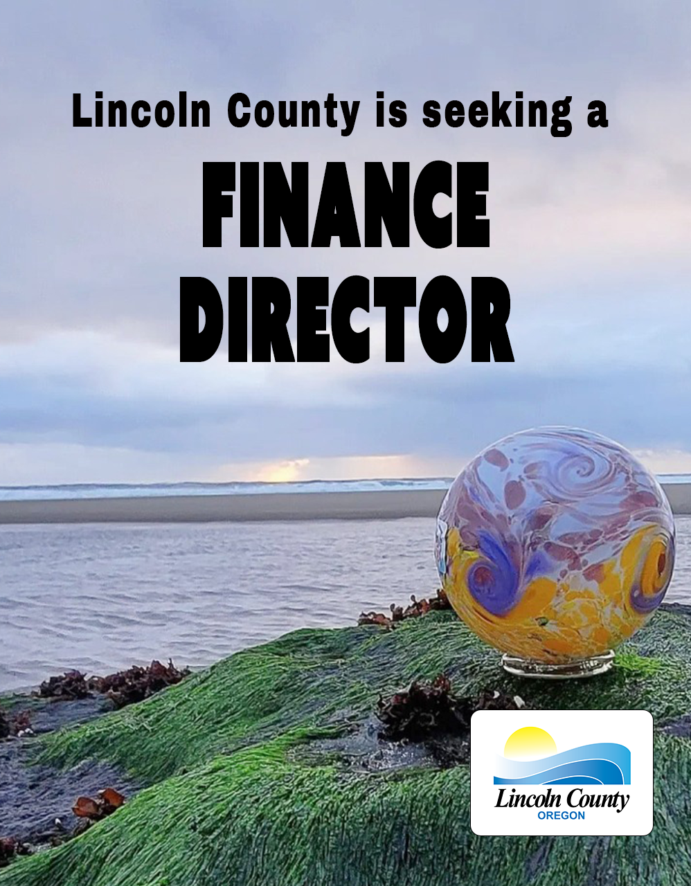 Seeking Permanent Finance Director