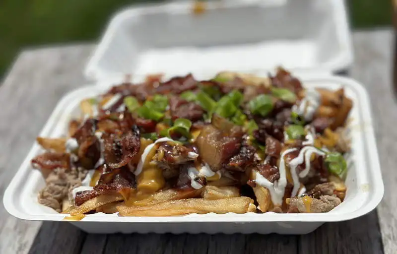 A takeout container of fries topped with meat, sauces, and scallions