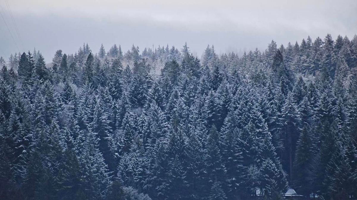 Wintry Blast Hits Northwest Washington: Authorities Urge Caution A…