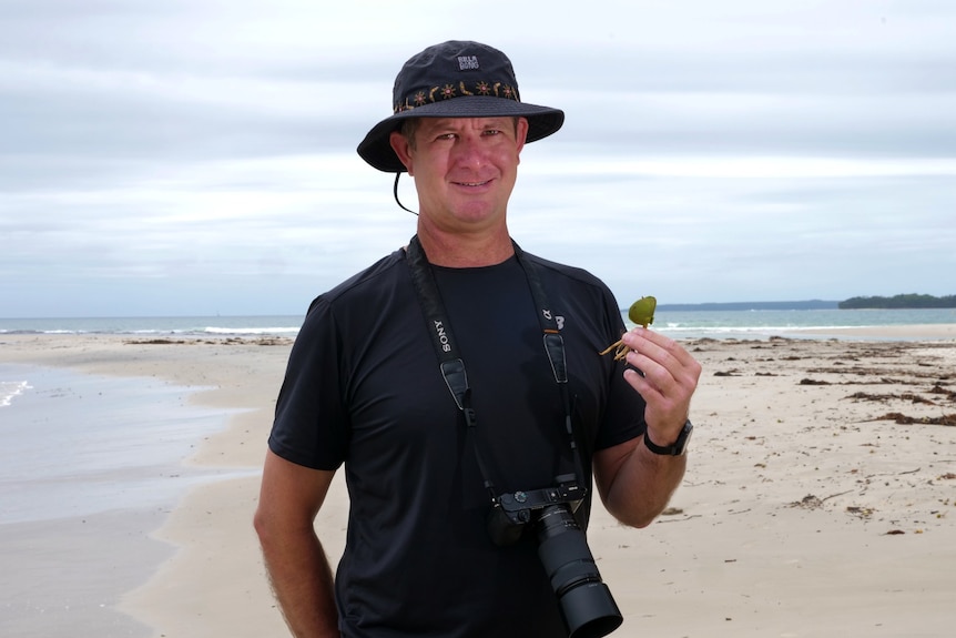 Rare moths among citizen scientist’s 15k nature observations