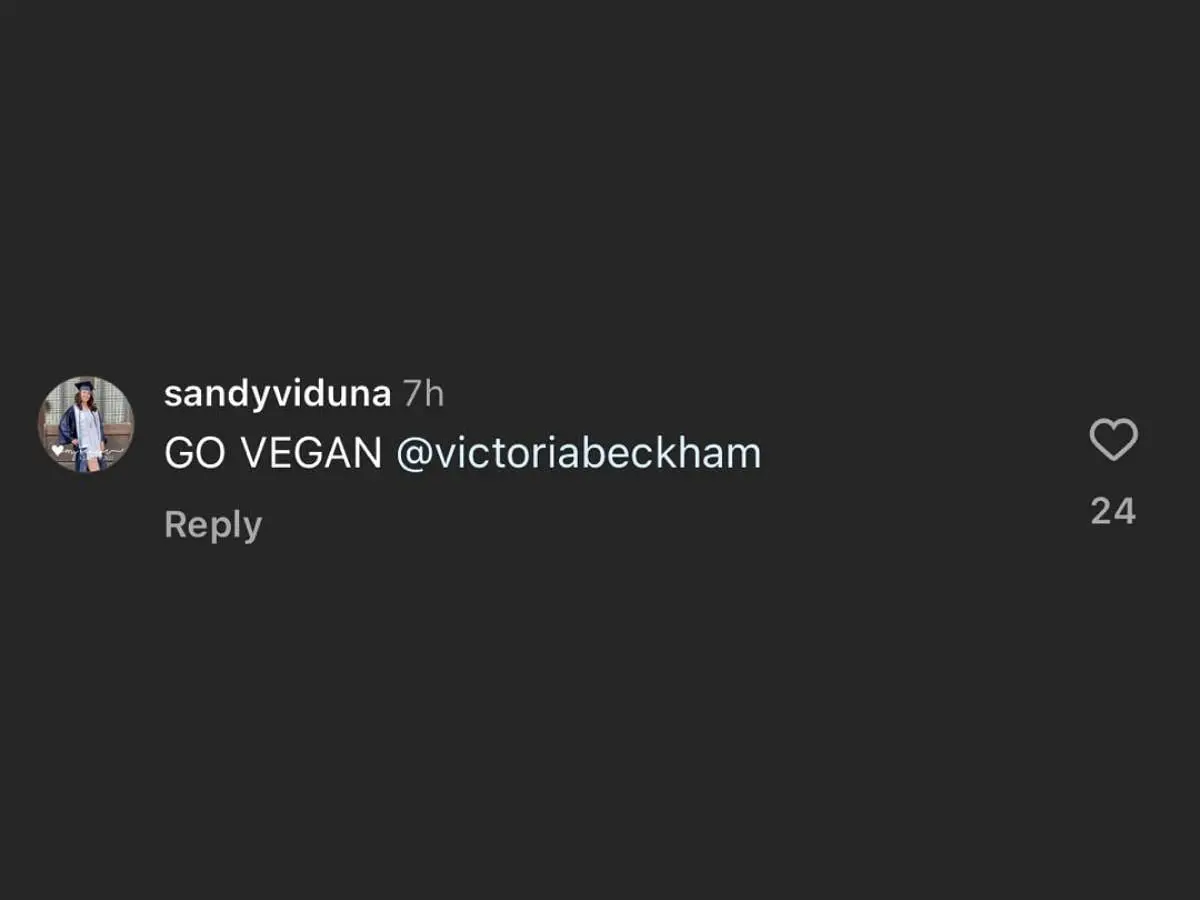 Netizens react to the VBAW show at Paris Fashion Week 2024 (Image via Instagram/@victoriabeckham)