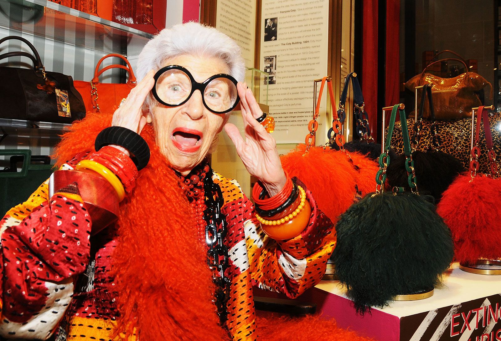 Fashion icon Iris Apfel dies at 102