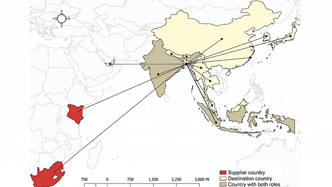 Battle against wildlife traffickers