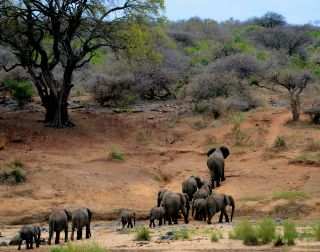 World Wildlife Day Celebrates All of Our Planet’s Residents