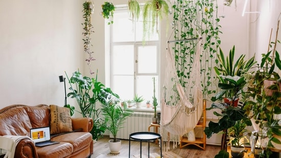 Décor: Give your home a botanical makeover