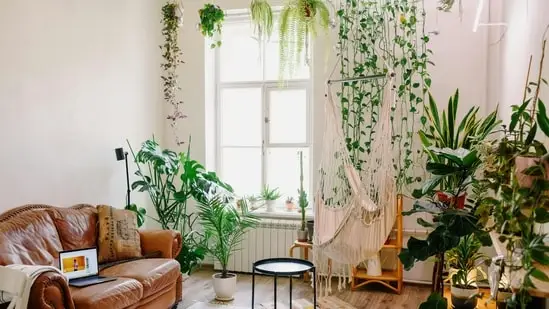 Go with the botanical home décor trend that is soothing as well as aesthetically-pleasing (Pexels)