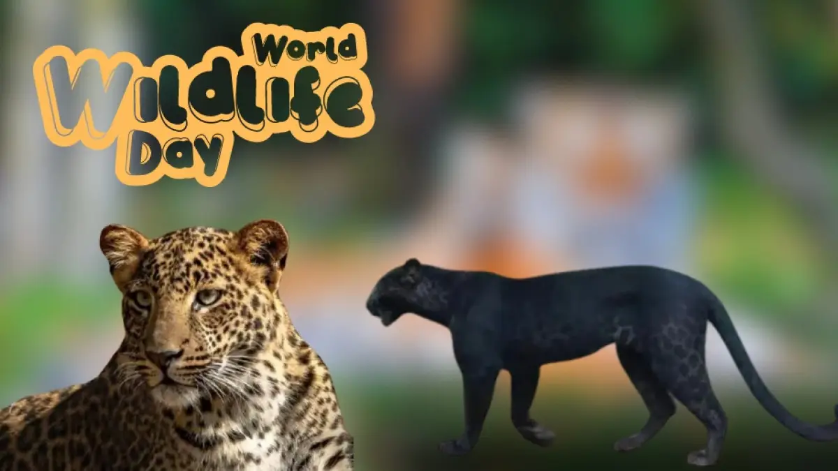 World Wildlife Day 2024: Poaching, man-animal conflict still major concerns in Odisha