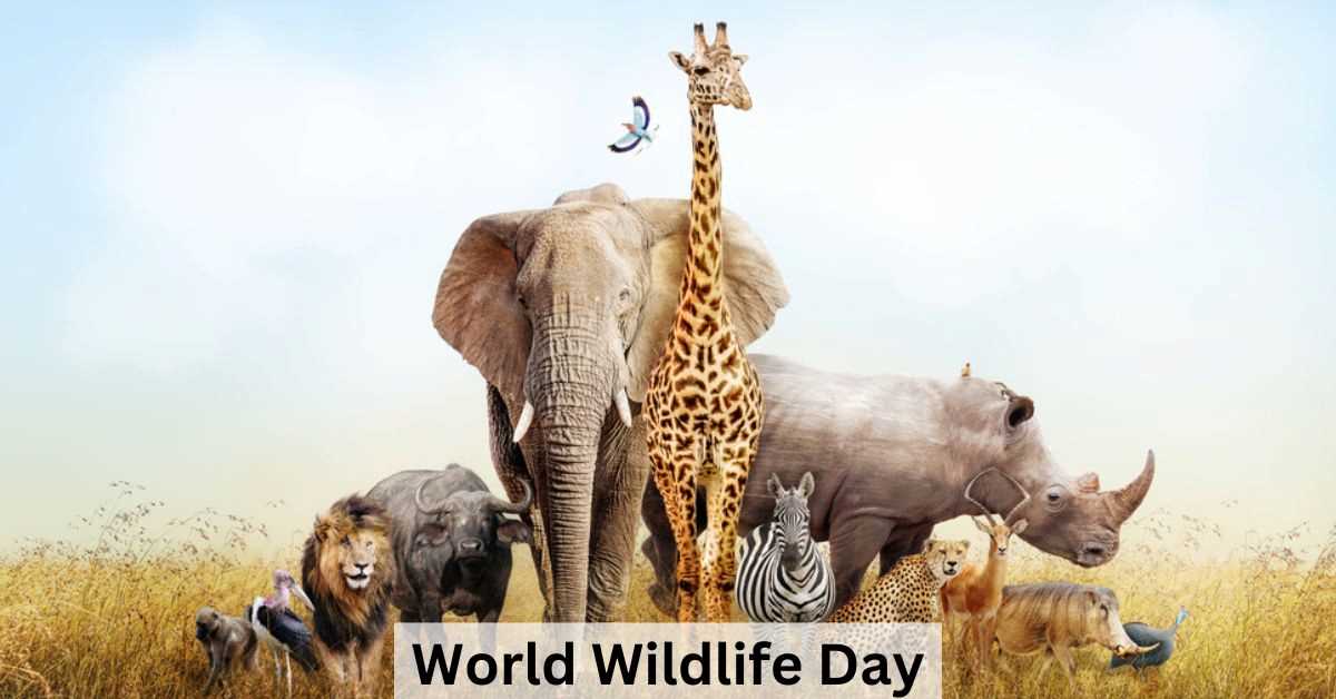 World Wildlife Day 2024: List of 5 Largest Animal Sanctuaries in the World 2024