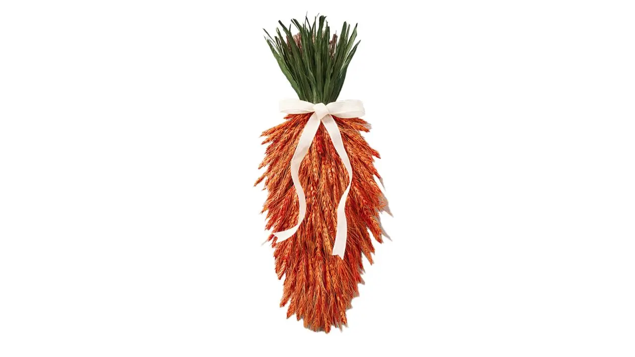 Williams Sonoma Easter Carrot Live Wreath cnnu.jpg