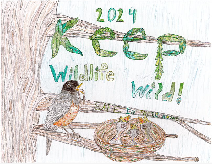 Dept. of Natural Resources: Announces 2024 Keep Wildlife Wild poster contest winners