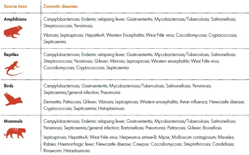 Zoonotic diseases