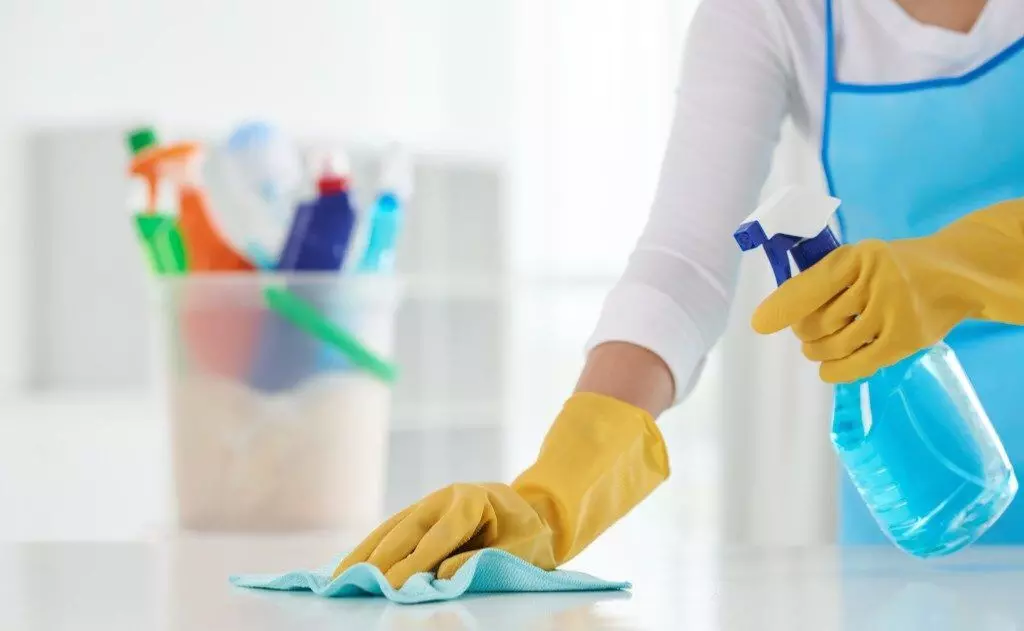 Health Risk: Chemicals in home cleaners, gadgets can create neurological issues in kids