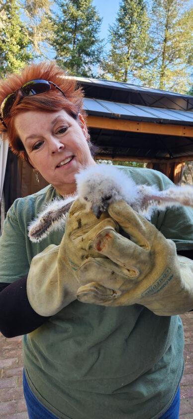 Wildlife in Need helps get injured animals to rehab centers