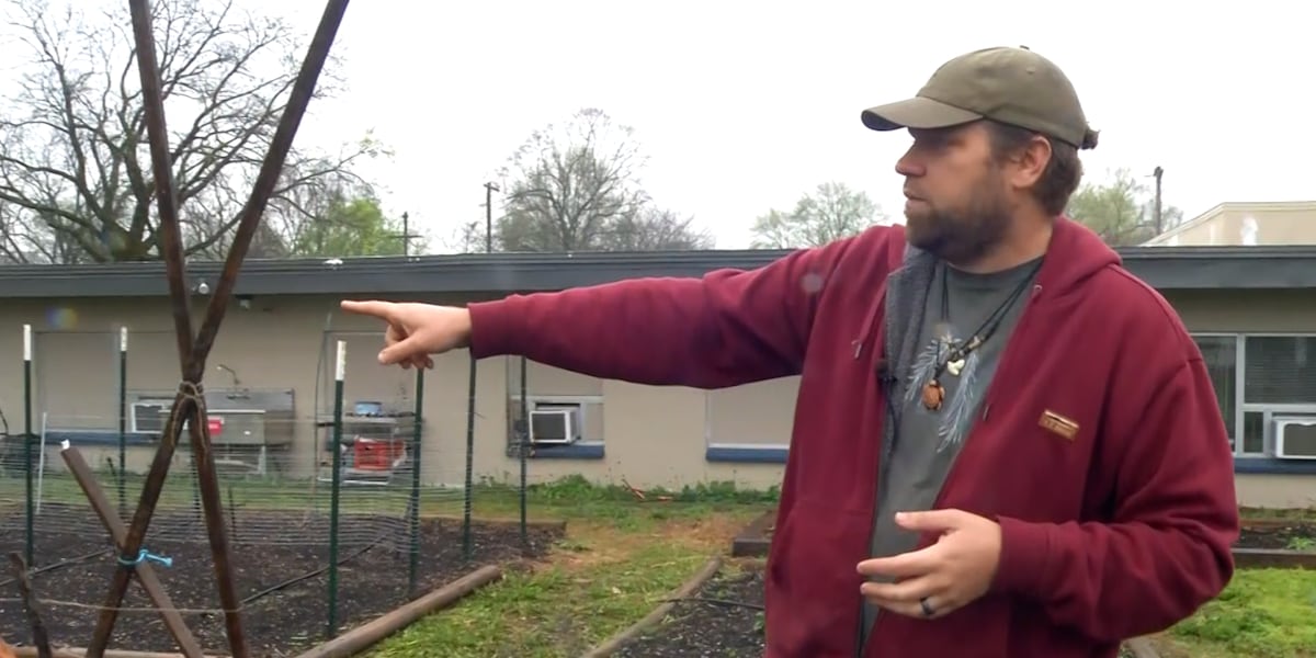 Springfield urban garden growing hope and providing healthy meals to those in need