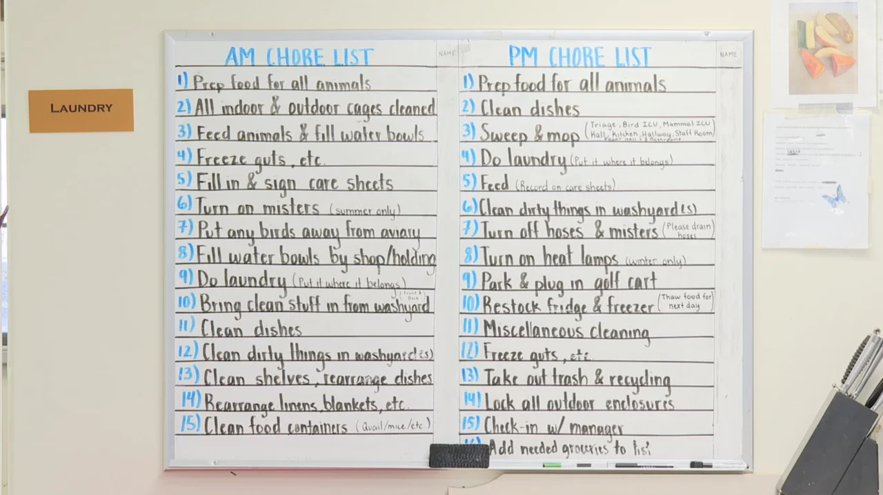 AM/PM chore list for volunteers