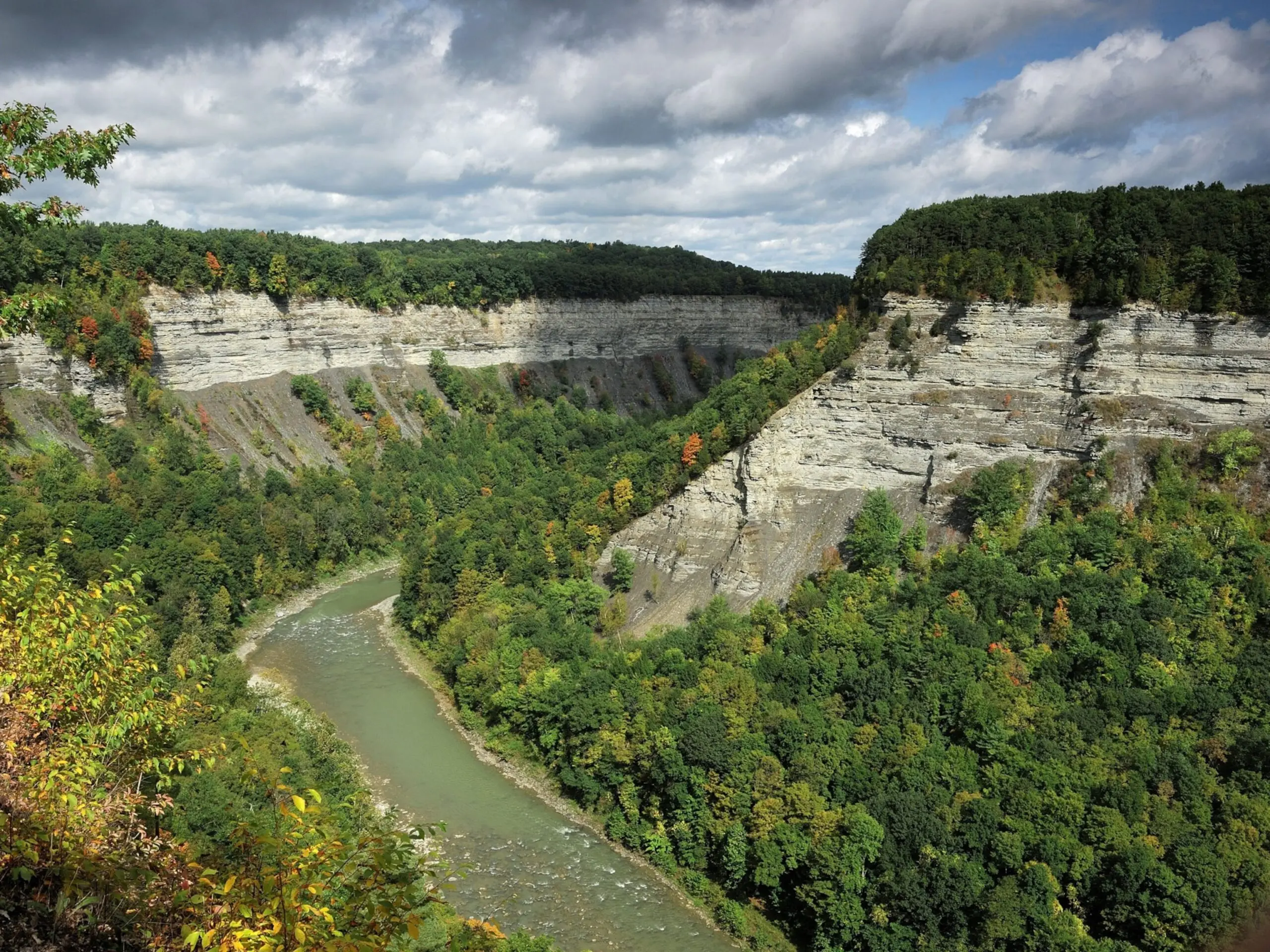 Green trees line the rocks of a canyon.