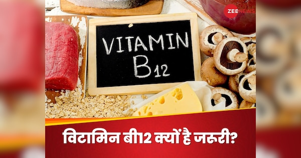 बॉडी के लिए क्यों अहम विटामिन बी12? इन फूड्स में मिलेगा ये पोषक तत्व