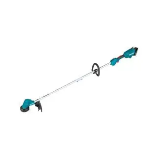 Blue lawn trimmer