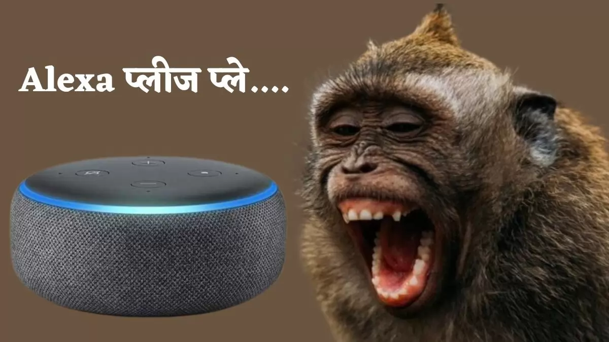 Alexa ने बचाई मासूम बच्ची की जान: घर में घुस आया था बंदर, फिर काम आई ये तरकीब, जानिए टेक्नोलॉजी ने कैसे किया कमाल?