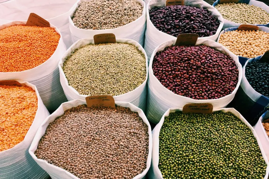 Protein Rich Foods: 6 फूड आइटम्स जिनमे होता है अंडे से भी ज्यादा प्रोटीन, जानें 3 Lentils