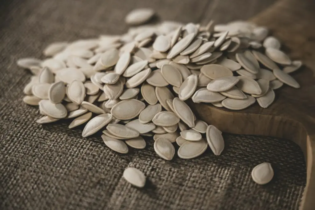 Protein Rich Foods: 6 फूड आइटम्स जिनमे होता है अंडे से भी ज्यादा प्रोटीन, जानें 4 Pumpkin Seeds