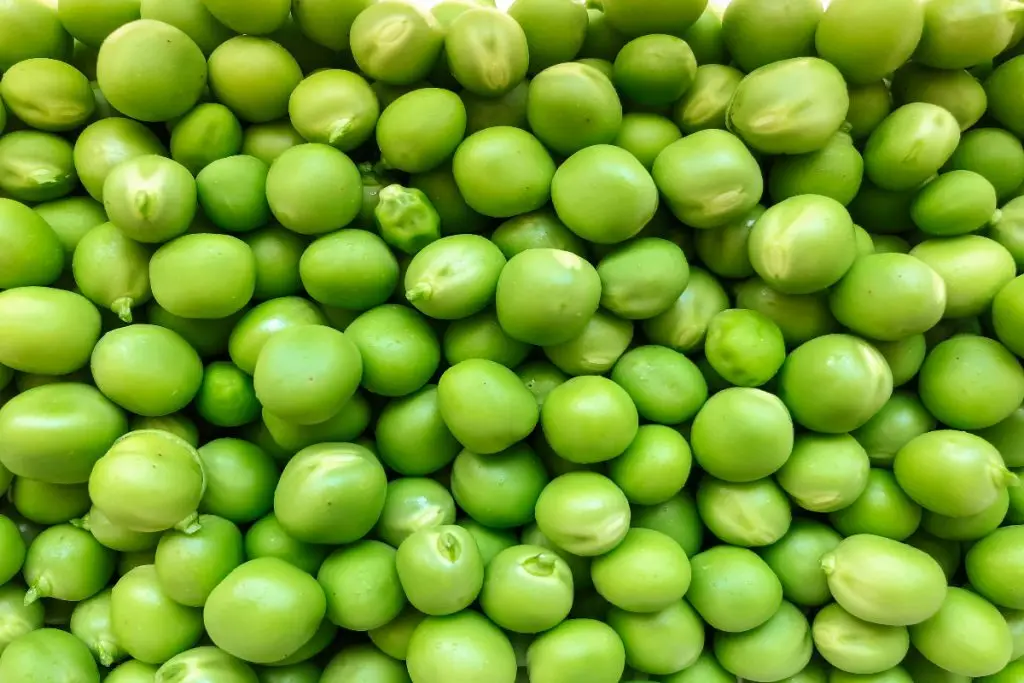 Protein Rich Foods: 6 फूड आइटम्स जिनमे होता है अंडे से भी ज्यादा प्रोटीन, जानें 6 Peas