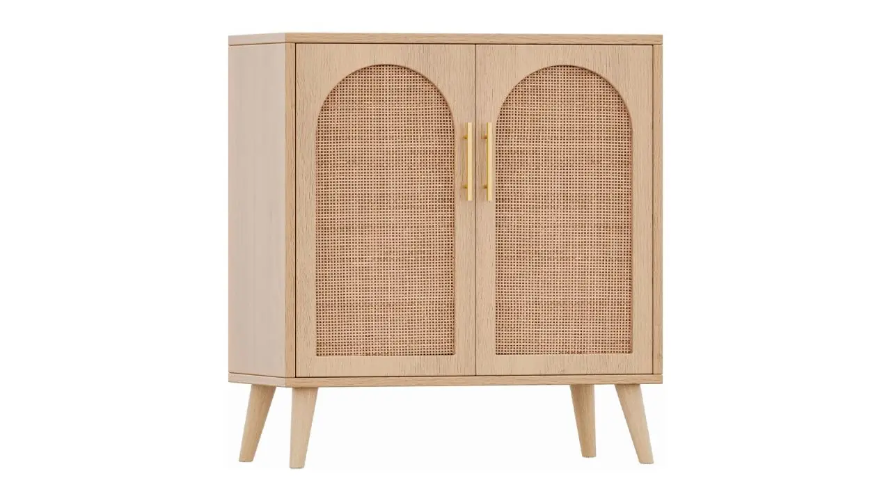 Rovaurx Rattan Storage Cabinet With Doors cnnu.jpg