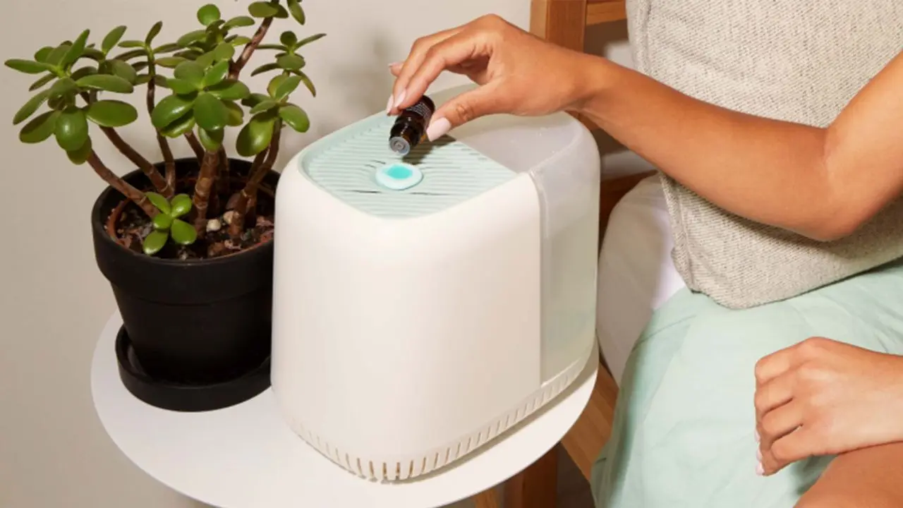 sleepexperts canopy humidifier