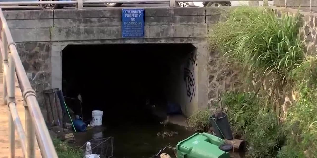 Homeless camps inside Moiliili drainage canals raise health and safety concerns