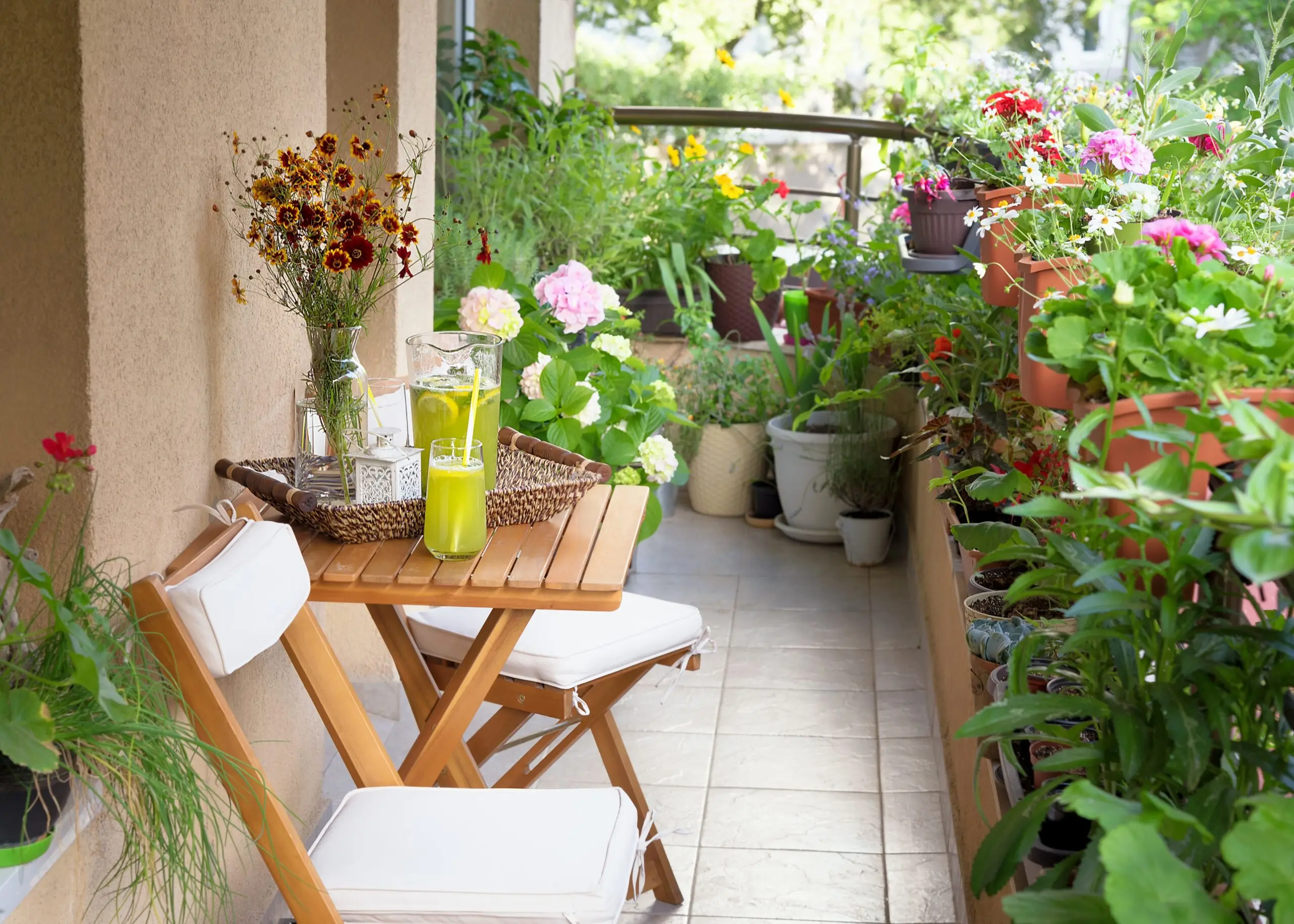 Having plants around is the best way to bring you up close to summer (Shutterstock) Having plants around is the best way to bring you up close to summer (Shutterstock)