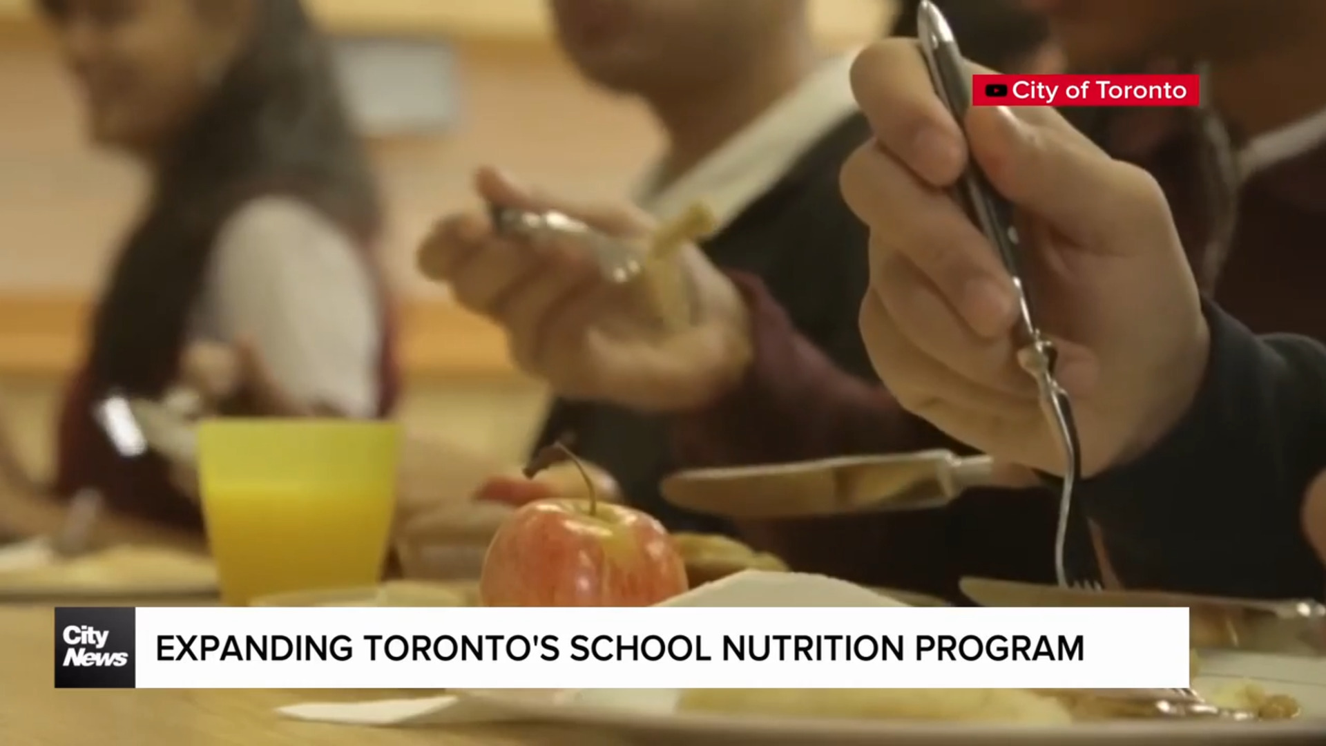 Toronto looks for support to expand student nutrition programs