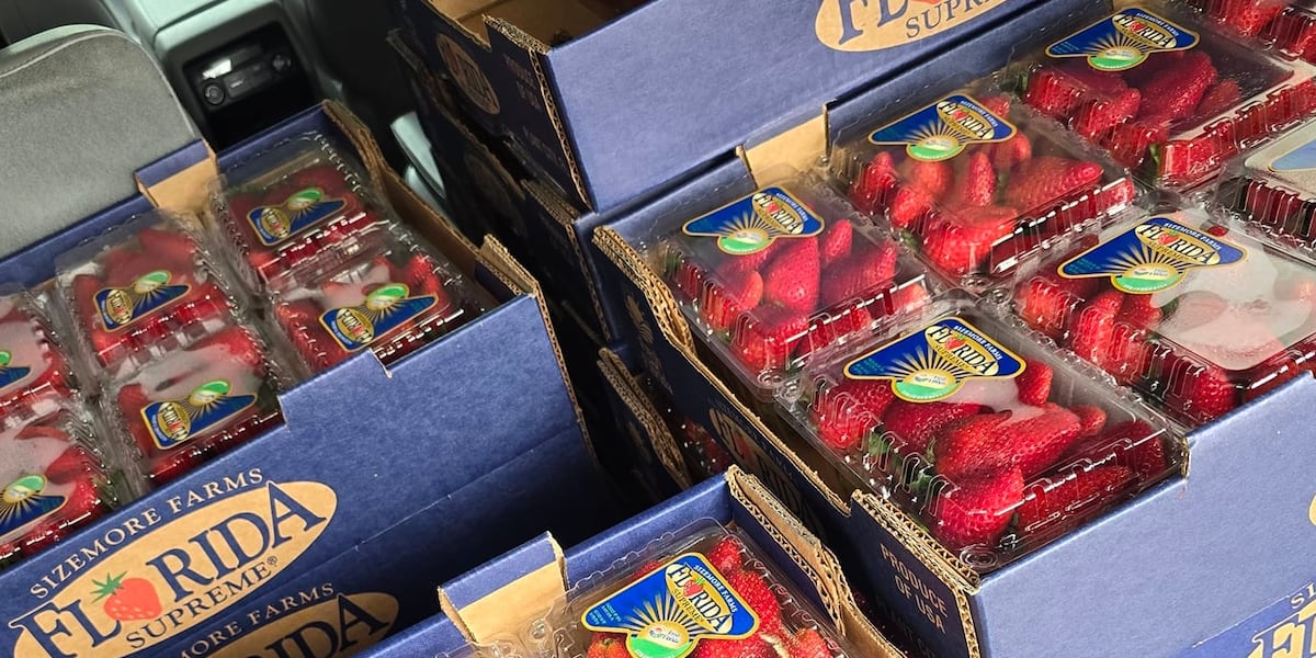 FDA results in on school strawberries after tragic Hopkins Co. death