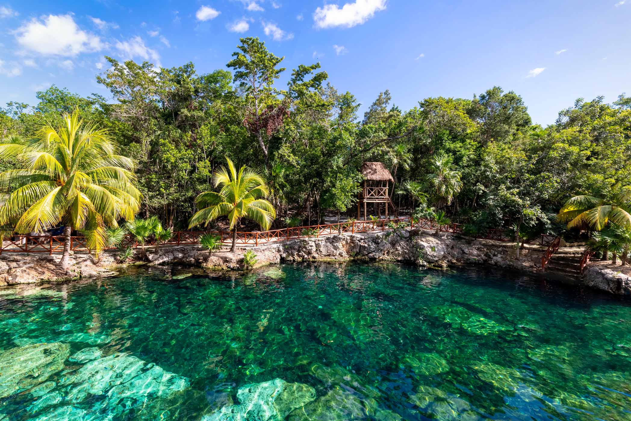 Ecotourism: Sustainable and Responsible Travel in Mexico