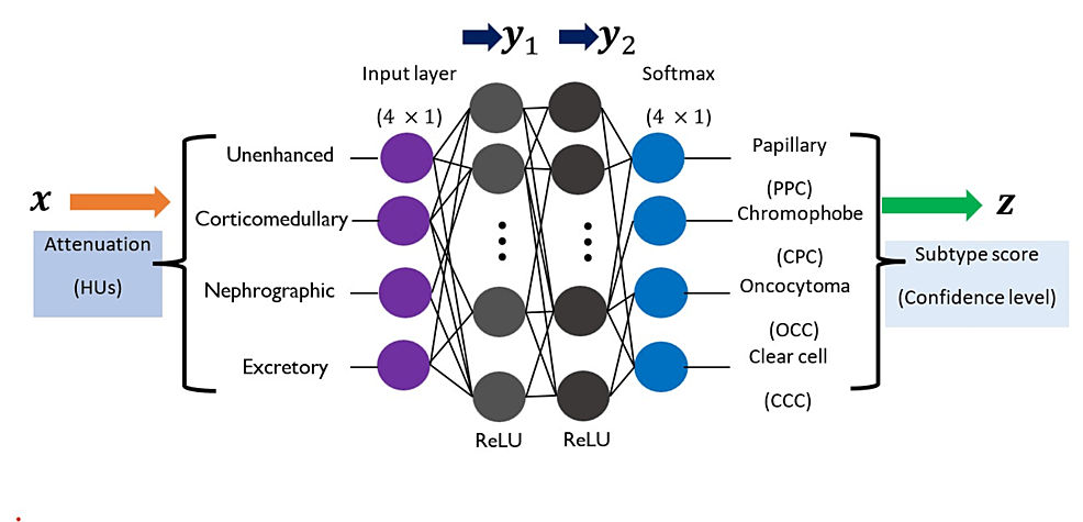 Artificial Intelligence-Based Non-invasive Differentiation of Distinct Histologic Subtypes of Renal Tumors With Multiphasic Multidetector Computed Tomography
