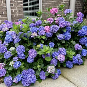 “Bought The Property, Landscaping Included”: Woman Shocked By Ex-Homeowner’s Request 2 Years Later “Bought The Property, Landscaping Included”: Woman Shocked By Ex-Homeowner’s Request 2 Years Later
