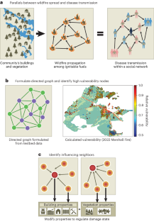 Leveraging epidemic network models towards wildfire resilience